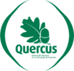 Quercus